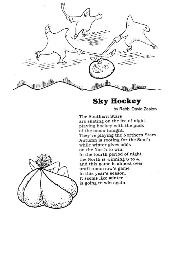 skyhockey copy
